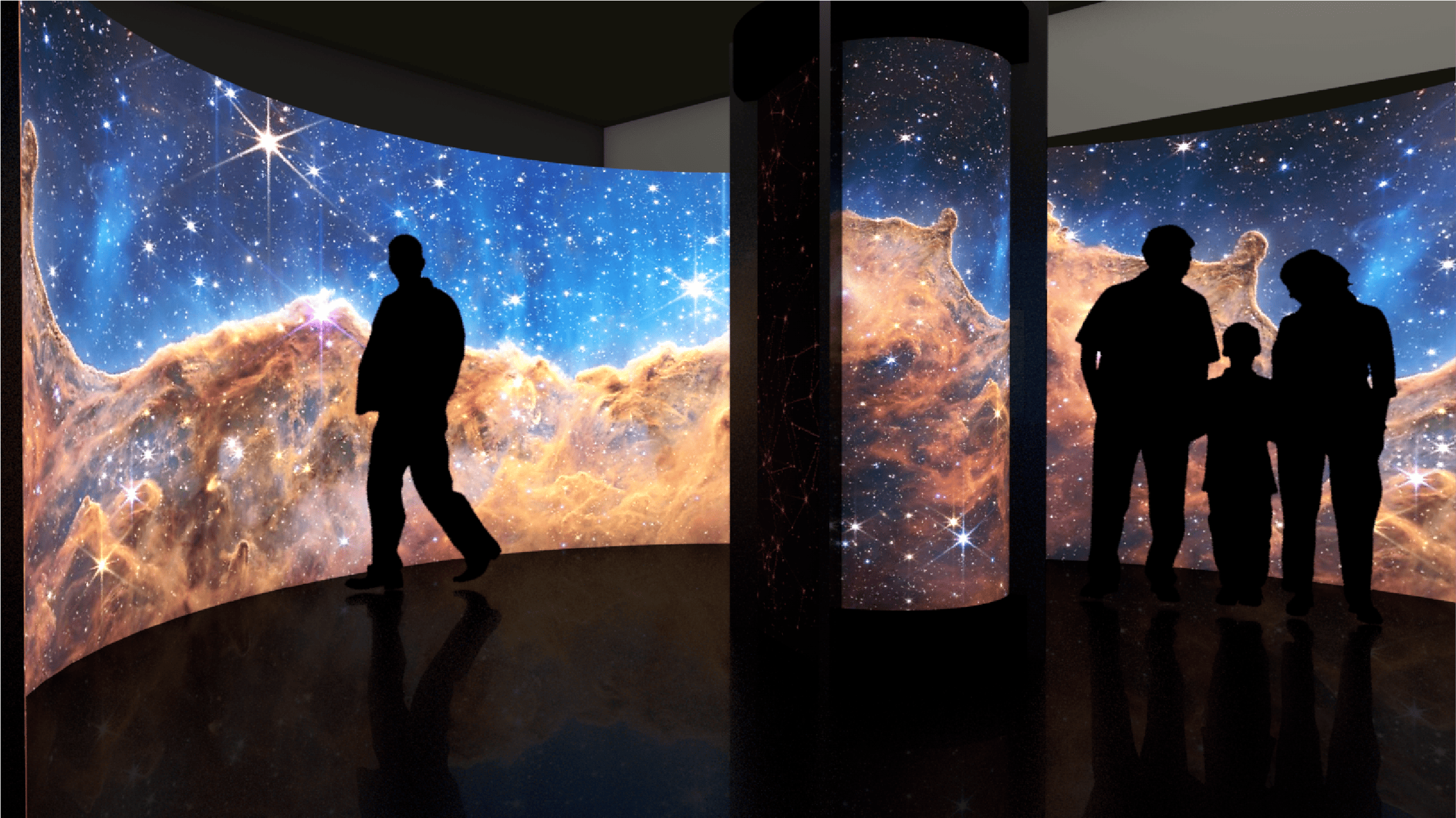 Stardust: The Universe in You | Flying Fish | Traveling Exhibition