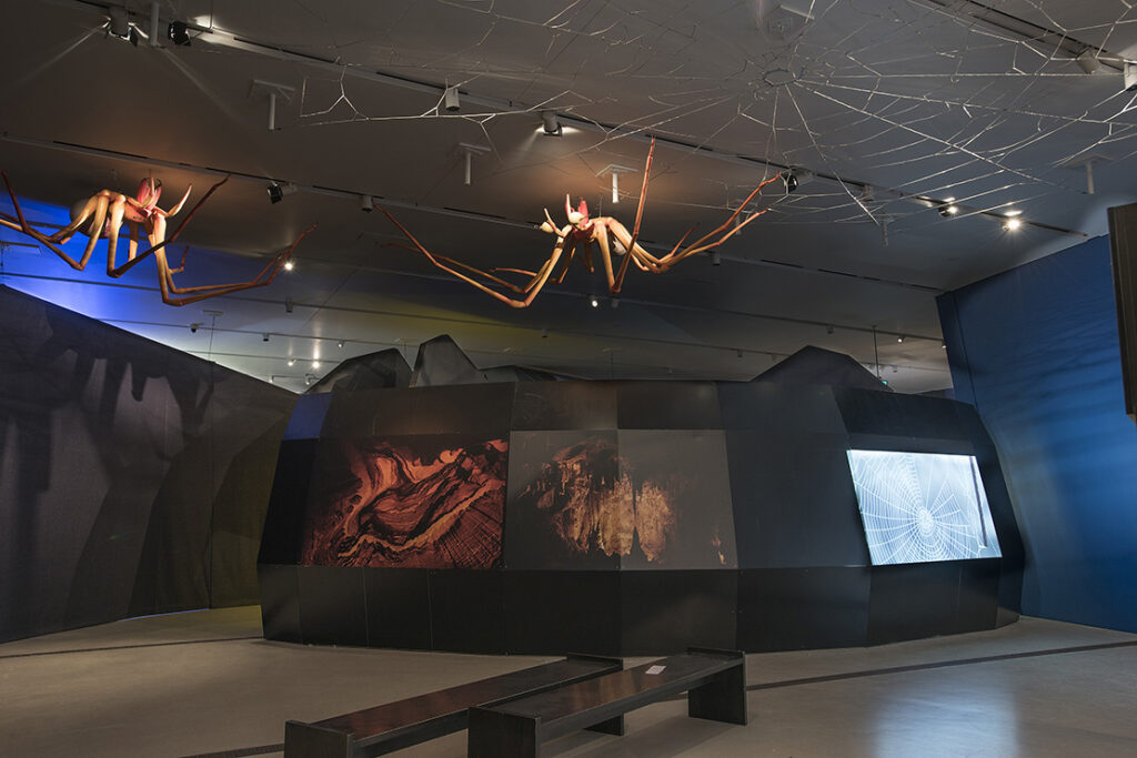 Spiders: From Fear to Fascination - Installation View