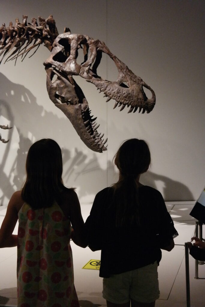 Tyrannosaurs: Meet the Family Installation View - The Durham Museum