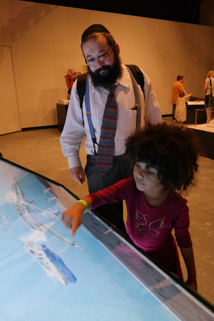 Tyrannosaurs: Meet the Family Installation View - The Durham Museum