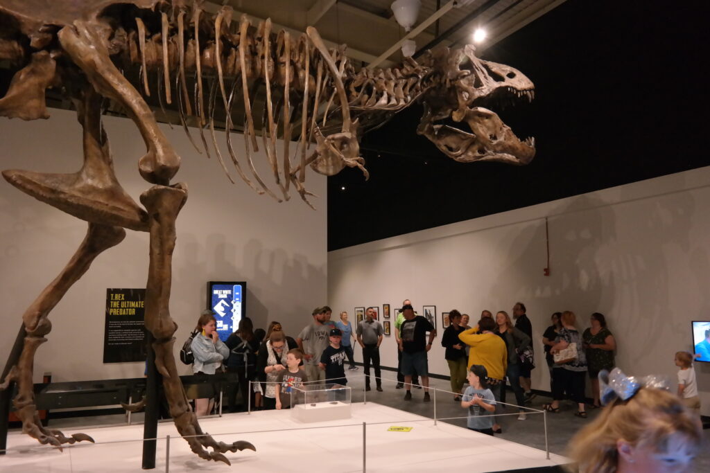 Tyrannosaurs: Meet the Family Installation View - The Durham Museum