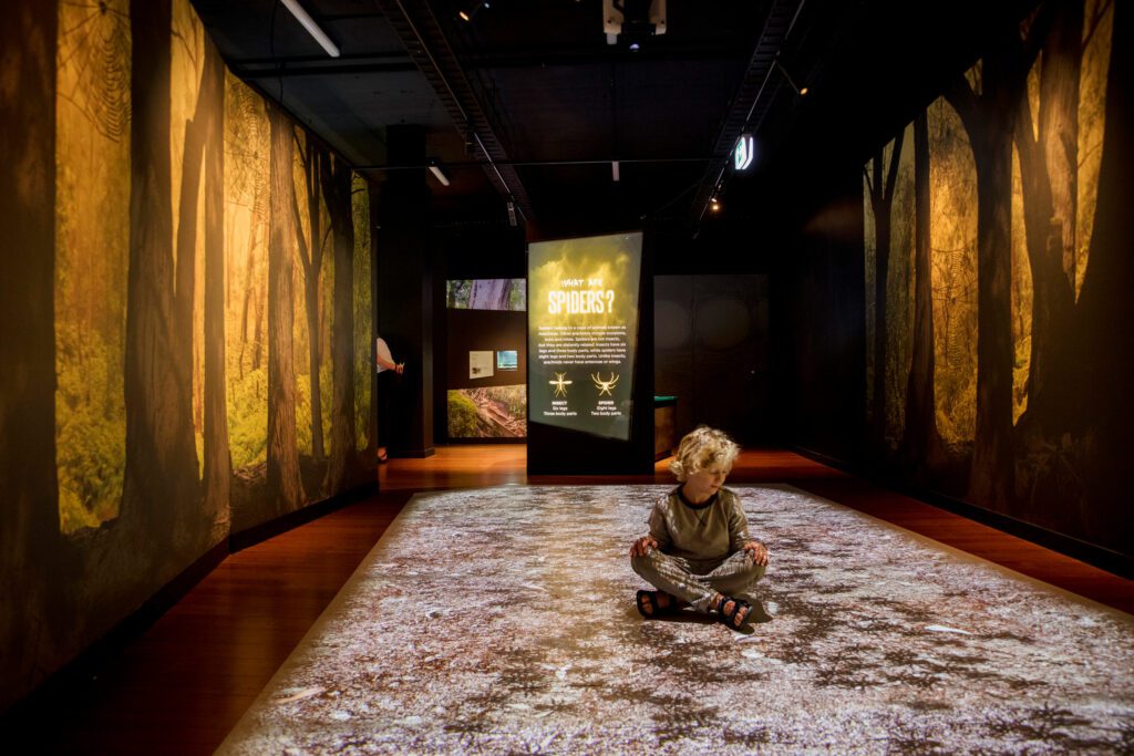 Spiders: From Fear to Fascination - Installation View