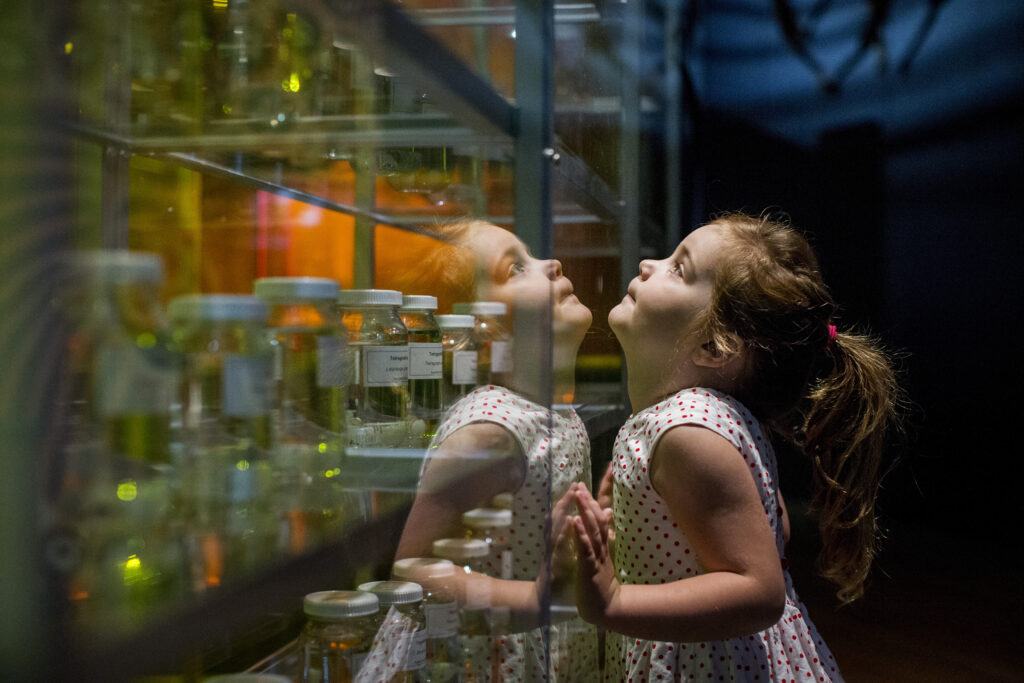 Spiders: From Fear to Fascination - Installation View