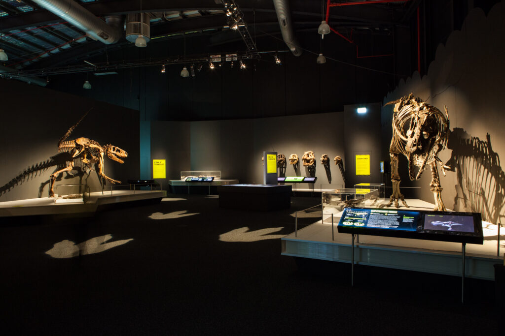 Tyrannosaurs: Meet the Family at Scienceworks - photo credit: Mark Gambino