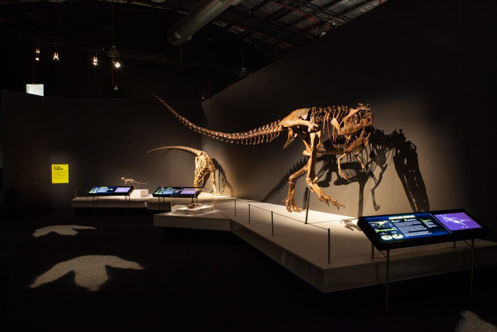 Tyrannosaurs: Meet the Family at Scienceworks - photo credit: Mark Gambino