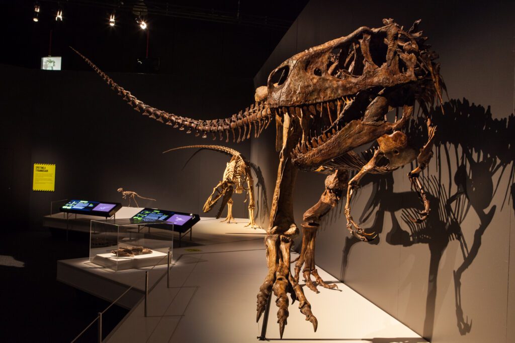 Tyrannosaurs: Meet the Family at Scienceworks - photo credit: Mark Gambino