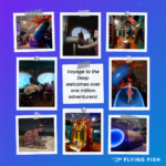 Voyage to the Deep photo collage