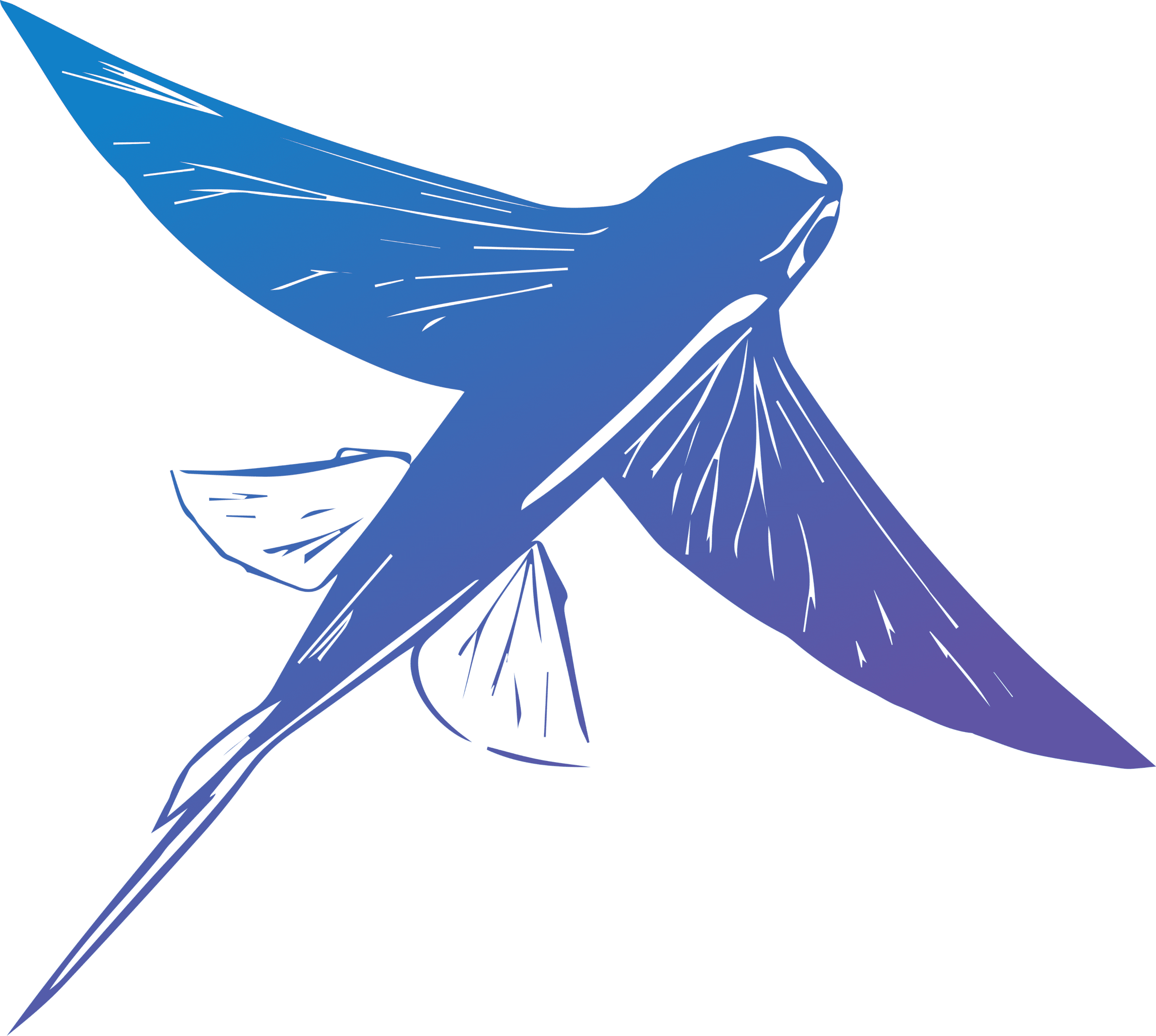 Contact Us | Flying Fish | Touring Exhibitions, image size:2560x2294